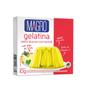 Imagem de Gelatina Diet Sabor Abacaxi com Hortelã  10g - Magro