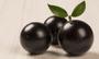 Imagem de Geléia Diet de Jabuticaba Sem Açúcar 230g Linea