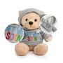 Imagem de Get Well Teddy Bear with Gray Hoodie 9 Boneca de pelúcia animal de pelúcia para conforto e amor com Get Well Soon Card (nariz bronzeado)