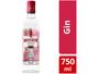 Imagem de Gin Beefeater Kit Dias de Sol London Dry 750ml