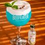 Imagem de Gin beefeater miniatura botanics 50 ml