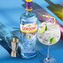 Imagem de Gin GORDON'S London Dry 750ml