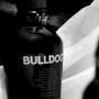 Imagem de Gin Inglês Bulldog London Dry 750ml