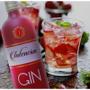 Imagem de Gin Intencion Strawberry 900ml