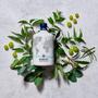 Imagem de Gin Nordés Atlantic Galician 700ml 12 Unidades