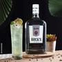 Imagem de gin rocks seco 995 ml