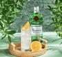 Imagem de Gin Tanqueray London Dry 750ml