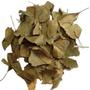 Imagem de Ginkgo Biloba 500Gr (Erva seca)