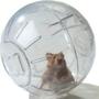 Imagem de Globo Bola De Exercício Hamster Roedores Brinquedo Rolamento