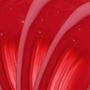 Imagem de Gloss Labial Latika - Lip Gloss
