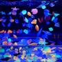 Imagem de Glow in The Dark Pebbles Oubest Blue 100 unidades para jardim/aquário