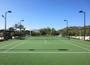 Imagem de Grama Sintética Esportiva 50mm Fibrilada  4,00 x 0,75m (3m²)