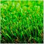 Imagem de Grama Sintetica Gardengrass 22Mm 2X2,5M - 5M2 - Decortech