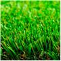Imagem de Grama Sintetica Gardengrass 2X1.5M - 3M2 - Decortech