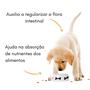 Imagem de Graminha para Cachorro natural Zoe Pet auxilia digestão e intestino - ZoePet