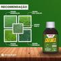 Imagem de Gramix Original para grama 100ml