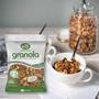 Imagem de Granola com Coco WS NATURAIS 500g