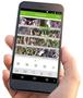 Imagem de Gravador Dvr Com 4 Canais Tipo Mhdx 4 Em 1 1080p App Celular