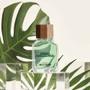 Imagem de Green Amazonia United Dreams Benetton - Perfume Masculino - Eau de Toilette