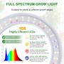 Imagem de Grow Light LORDEM LED de espectro total de 7,9 polegadas para plantas de interior