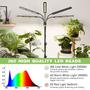 Imagem de Grow Lights FOXGARDEN A0161 para plantas de interior com suporte