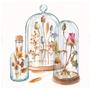 Imagem de Guard. C/02 13315970 Potpourri Bell Jars