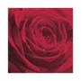 Imagem de Guardanapo de Papel Rosa Vermelha da Manhã Ti-Flair 33x33cm