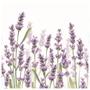 Imagem de Guardanapo Para Decoupage Ambiente Com 2 Unidades Lavender Shade White  13315985