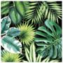 Imagem de Guardanapo Para Decoupage Ambiente Com 2 Unidades Tropical Leaves Black  13310941