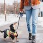 Imagem de Guia coleira pet retrátil para passeios com cães e gatos