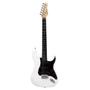 Imagem de Guitarra giannini strato g-101 hss captadores bk wh/tt