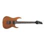 Imagem de Guitarra Ibanez RG 421 Super Strato MOL