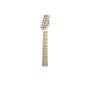 Imagem de Guitarra Waldman Telecaster Gte100 Bc