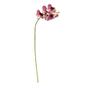 Imagem de H.orquidea Phalaenopsis Real Toque X6 69cm (florarte) Vol. 4