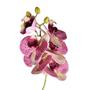 Imagem de H.orquidea Phalaenopsis Real Toque X6 69cm (florarte) Vol. 4