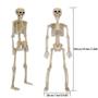 Imagem de Halloween Skeleton HBSTK, 40 cm, posável para corpo inteiro, pacote com 2