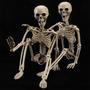 Imagem de Halloween Skeleton HBSTK, 40 cm, posável para corpo inteiro, pacote com 2