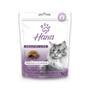 Imagem de Hana healthy life gatos urinary control 60g