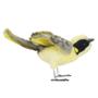 Imagem de Hansa Pássaro Honeyeater com capacete (10cm)