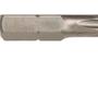Imagem de Hansa Tecnica Bits Torx Ht 30 X 50Mm - Kit C/10 Pc