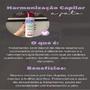 Imagem de Harmonização Capilar A Jato eaê 400ml - Eaê Cosméticos