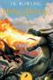 Imagem de Harry Potter y el cáliz de fuego (Harry Potter 4) - Salamandra Bolsillo