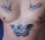 Imagem de Harry Styles - Kit Cartelas de Tatuagens Temporárias