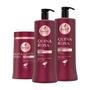 Imagem de Haskell Quina Rosa Shampoo + Condicionador 1 Litro Máscara 900g