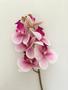 Imagem de Haste artificial orquídea X5 cabeças toque real