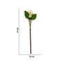 Imagem de Haste De Flor Artificial Protea Frosted Com Coat Salmão 50 Cm F04 - D'rossi