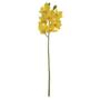 Imagem de Haste Orquidea Cymbidium Real Toque Amarelo 67Cm