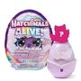 Imagem de Hatchimals Alive Supresa com Acessórios - Sunny