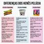 Hene em Gel Pelucia 05x180gr Preto Forte (Preto Azulado) Bisnaga Embelleze Imagem de Hene em Gel Pelucia 05x180gr Preto Forte (Preto Azulado) Bisnaga Embelleze