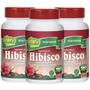 Imagem de Hibisco com Gengibre 90 comprimidos de 500mg Kit com 3 Frascos